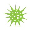 Chlamydia