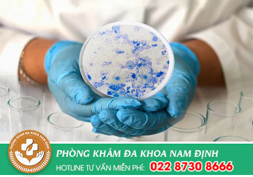 Những thông tin quan trọng về bệnh lậu ở nữ giới