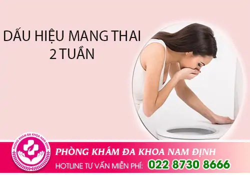 Dấu hiệu mang thai 2 tuần và cách nhận biết chính xác