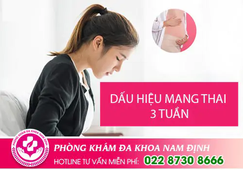 Dấu hiệu mang thai 3 tuần như thế nào?