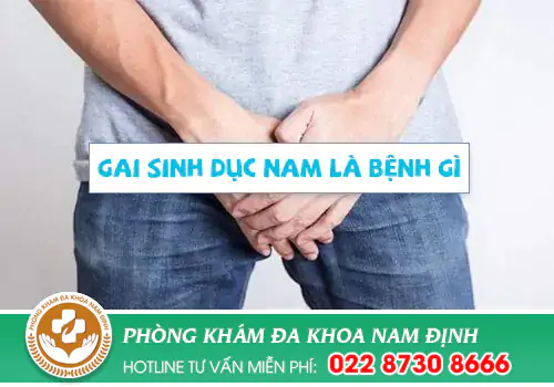 Gai sinh dục là bệnh gì? Cách chữa ra sao?