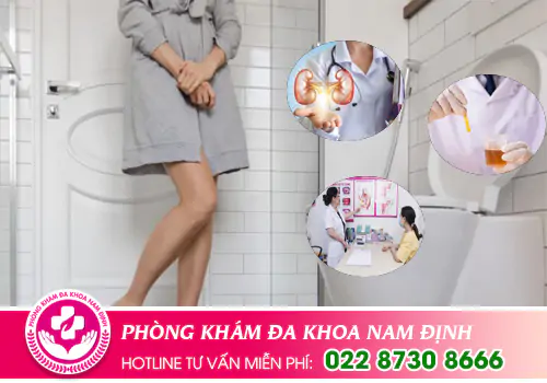 Khám tiết niệu nữ