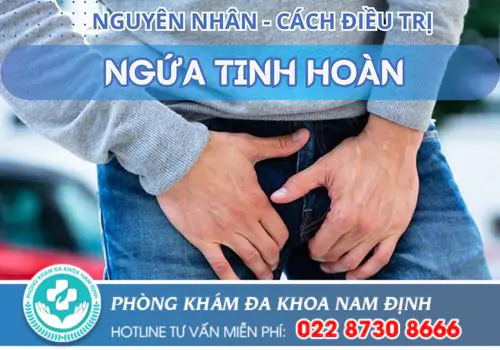 Ngứa tinh hoàn là dấu hiệu gì? Cách chữa hiệu quả