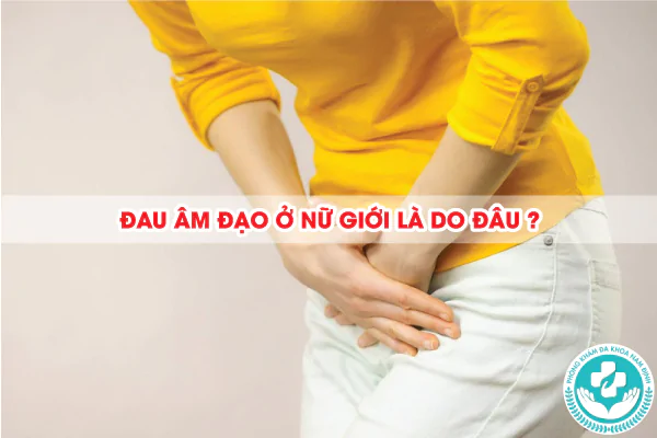 Đau âm đạo ở nữ giới là do đâu?