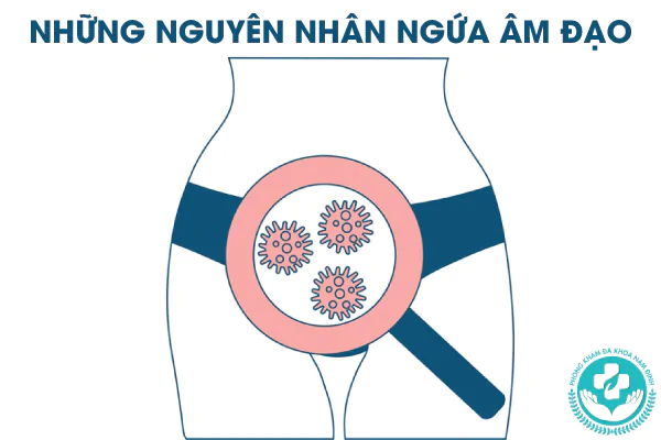 Những nguyên nhân ngứa âm đạo thường gặp hiện nay