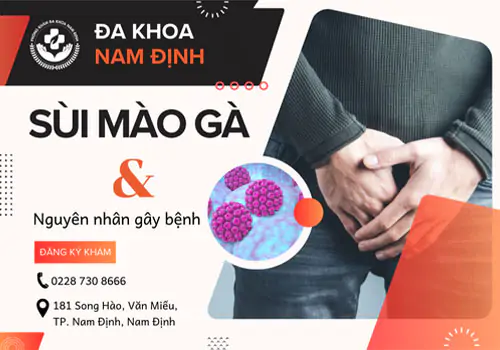 Bật mí các nguyên nhân gây bệnh sùi mào gà có thể bạn chưa biết
