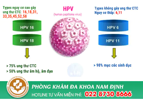 Phương Pháp hỗ trợ điều trị Virus HPV Hiệu Quả Hiện Nay