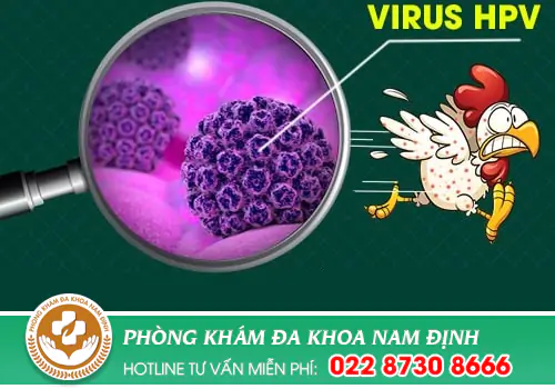 Nhiễm HPV phương pháp nào hỗ trợ điều trị tốt?